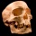 YIKES! Human skull dug up behind Fordham Prep